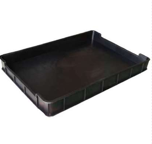 PP Tray